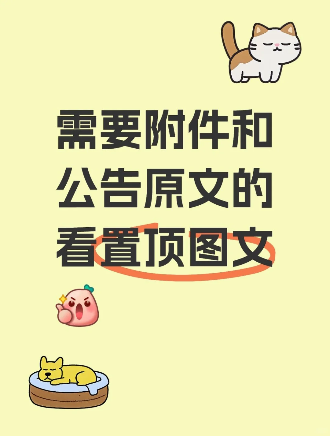 中山坦洲 I 教师编制 I 招9人