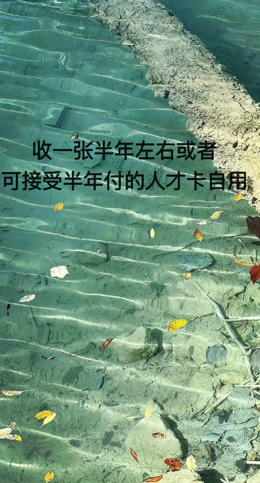 济南_人才卡