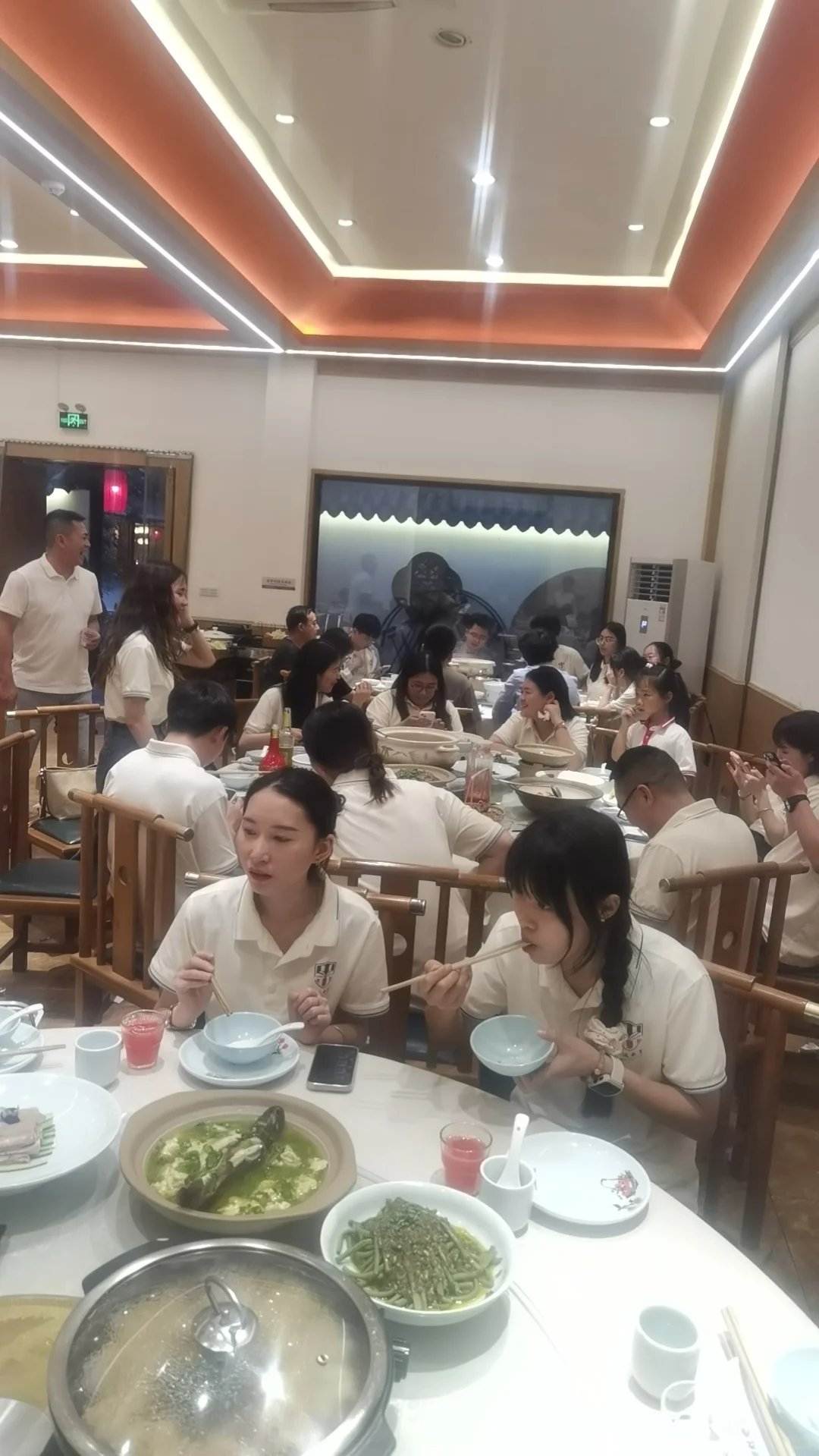 绵阳新公司人才储备！招人！