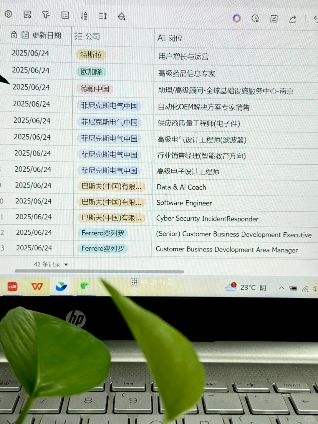 新能源外企你真的不考虑吗