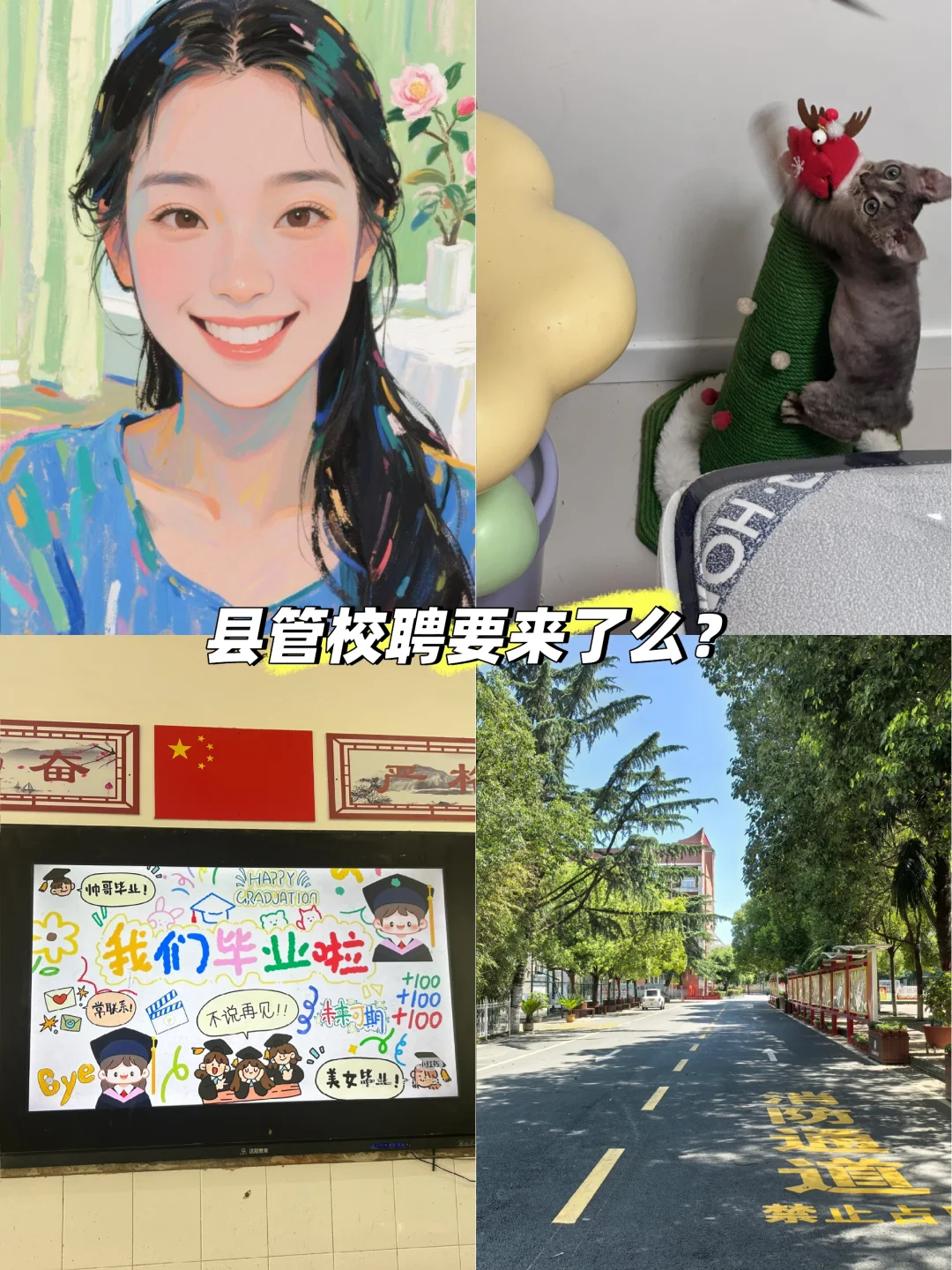 县管校聘真的来了！一线教师用大白话解读+生