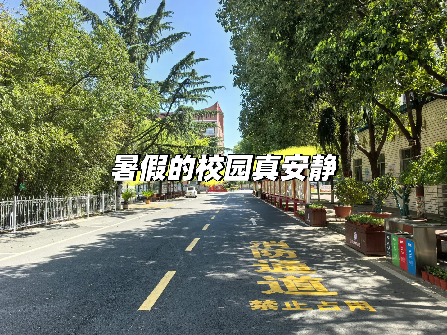 县管校聘真的来了！一线教师用大白话解读+生