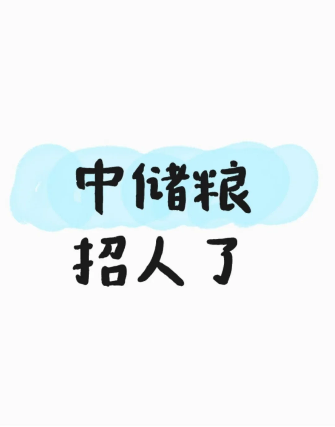 中储粮招人!应届速投!
