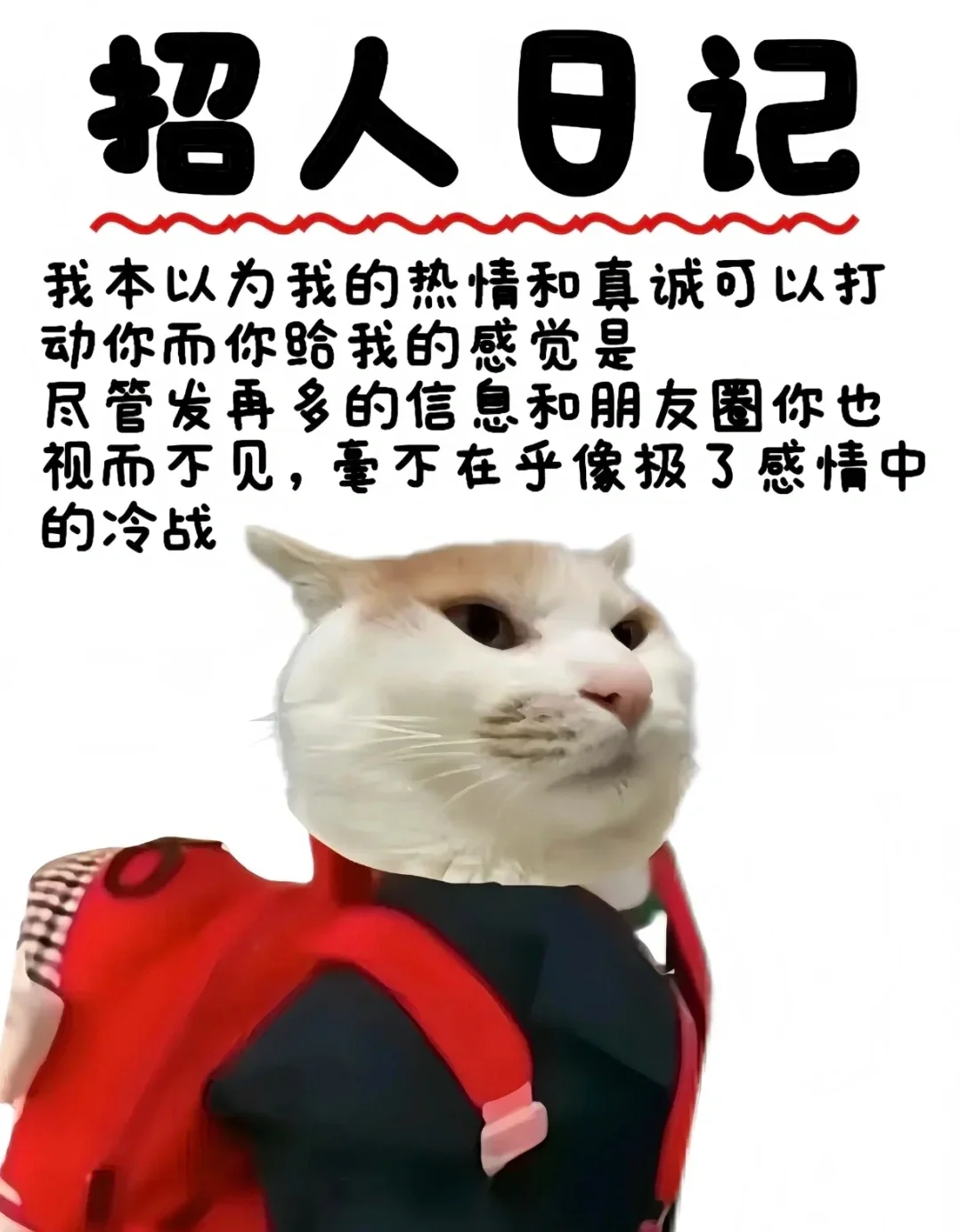 这是一条招聘圈！！！