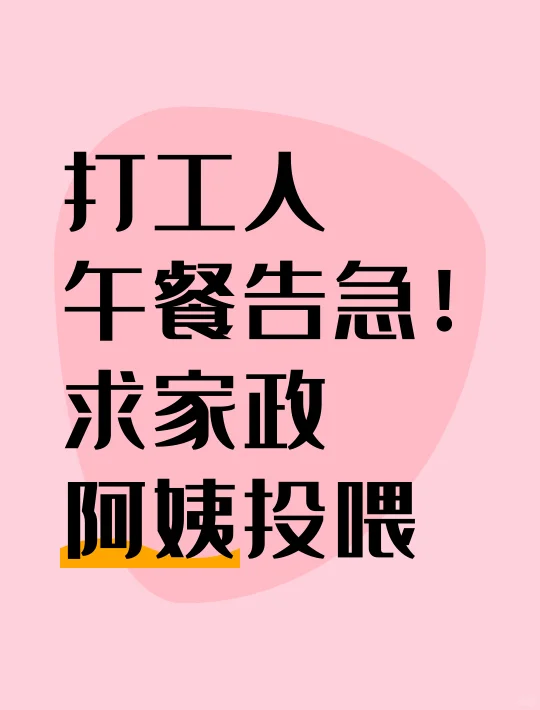 打工人午餐告急！求家政阿姨投喂