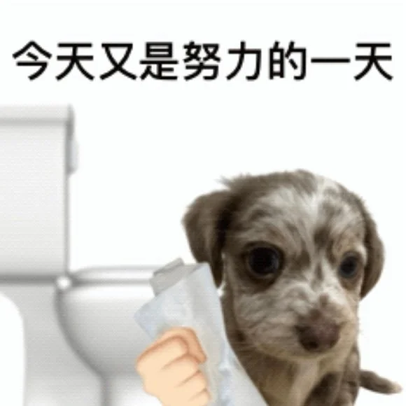 猎头打工日记｜盘点一些最近遇到的神奇人选
