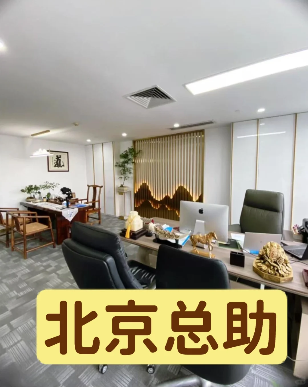 北京公司总助