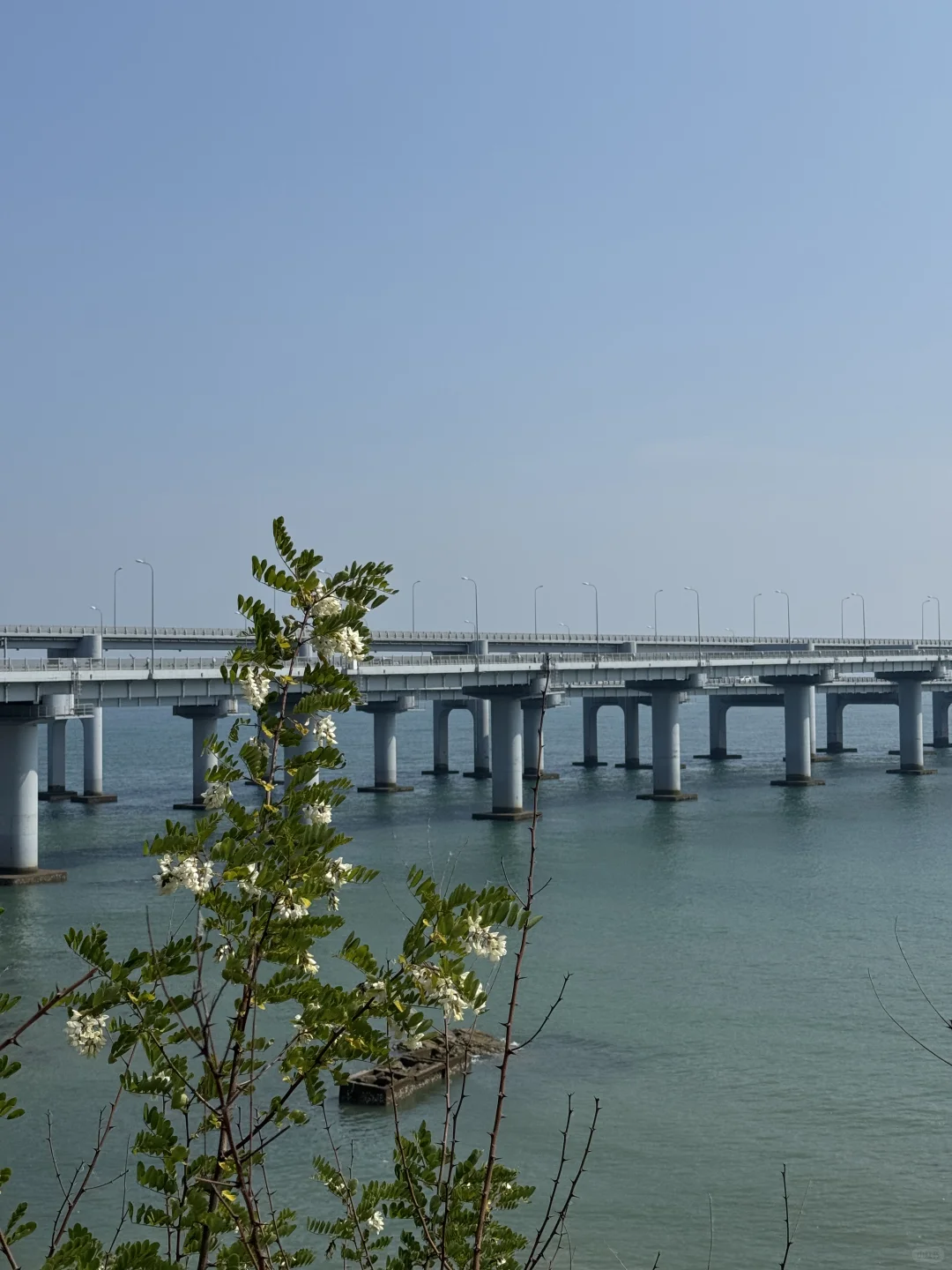 物流公司的供应链岗位（2）-供应链解决方案