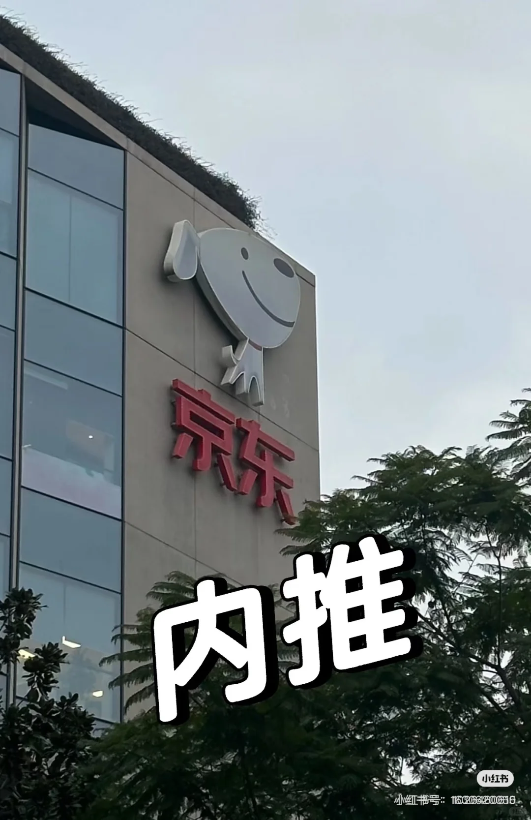 成都京东内推（正编6险一金）！！🎉