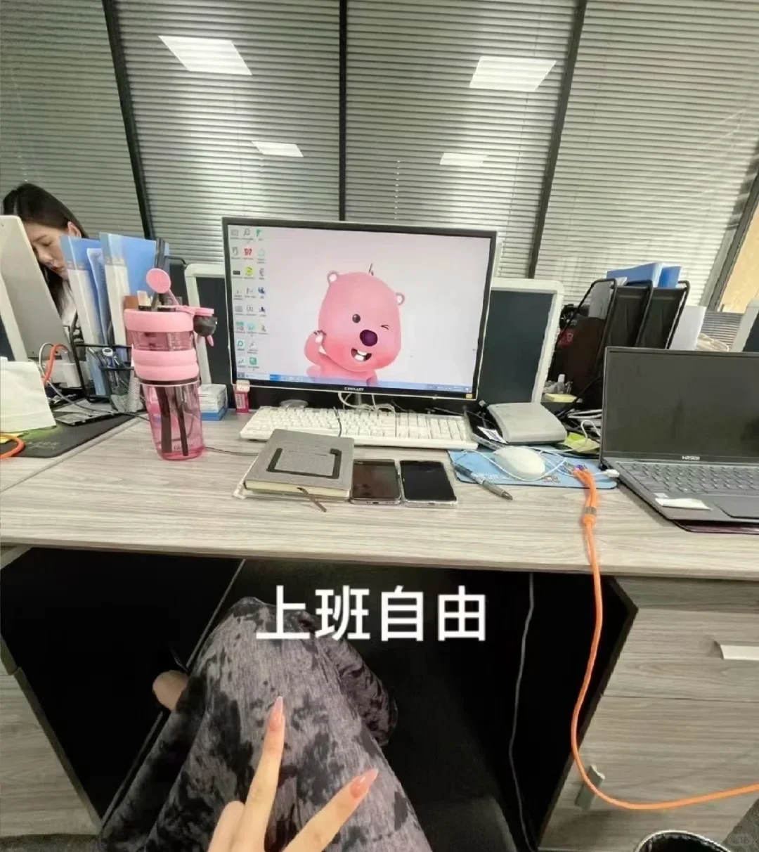 快招文员，工位等你来抢