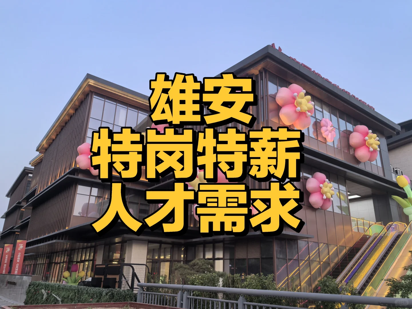 引进人才|雄安特岗特薪人才需求名单