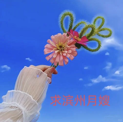 高薪聘月嫂