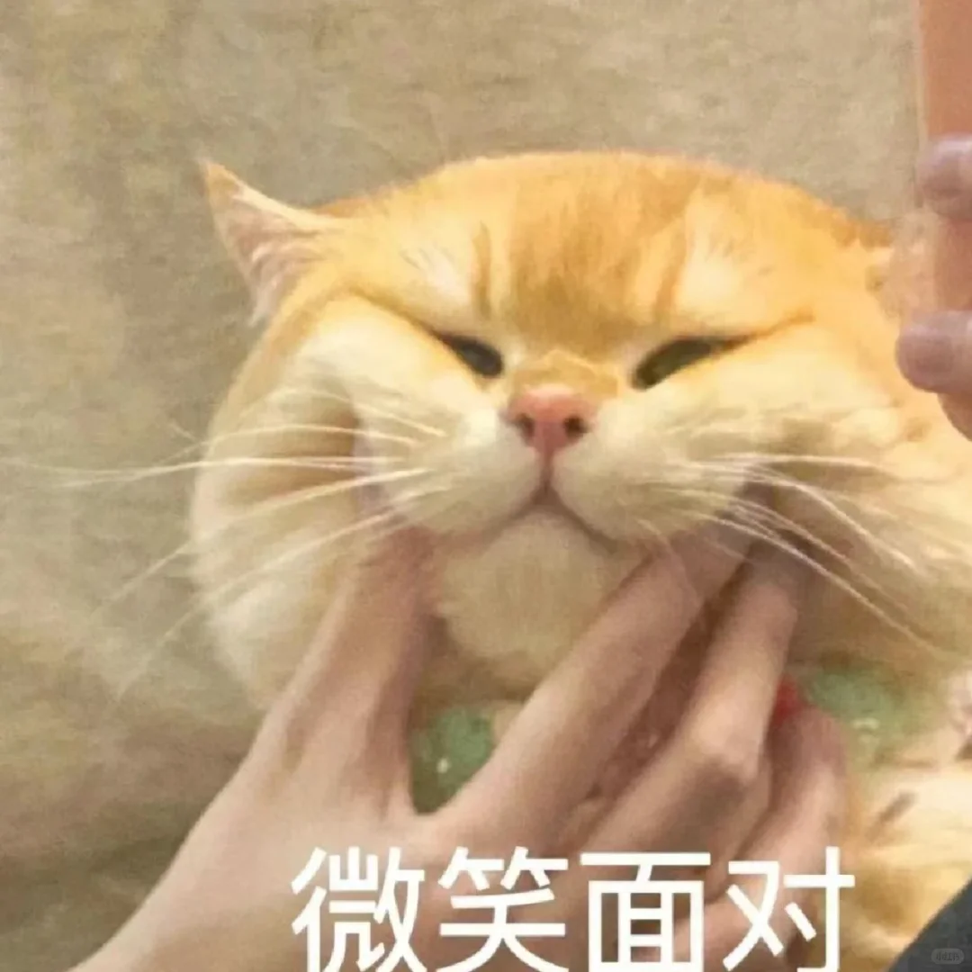 求助帖：河南漯河临颍县的乡镇SYB