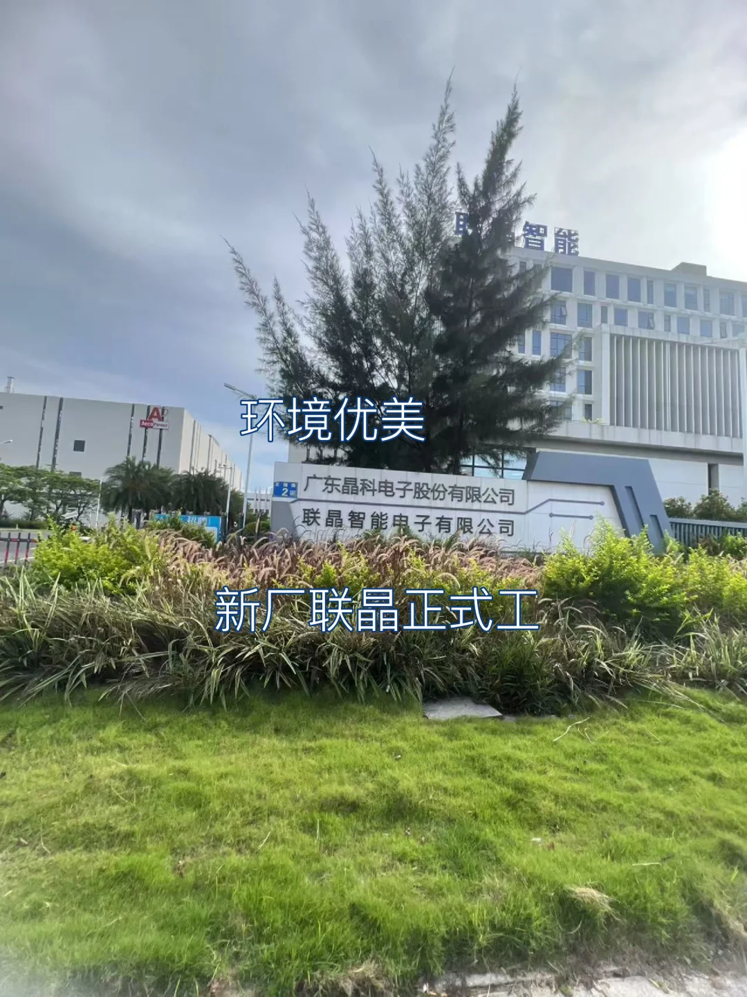 广州联晶新厂正式工！月薪6k+包吃住+健身房