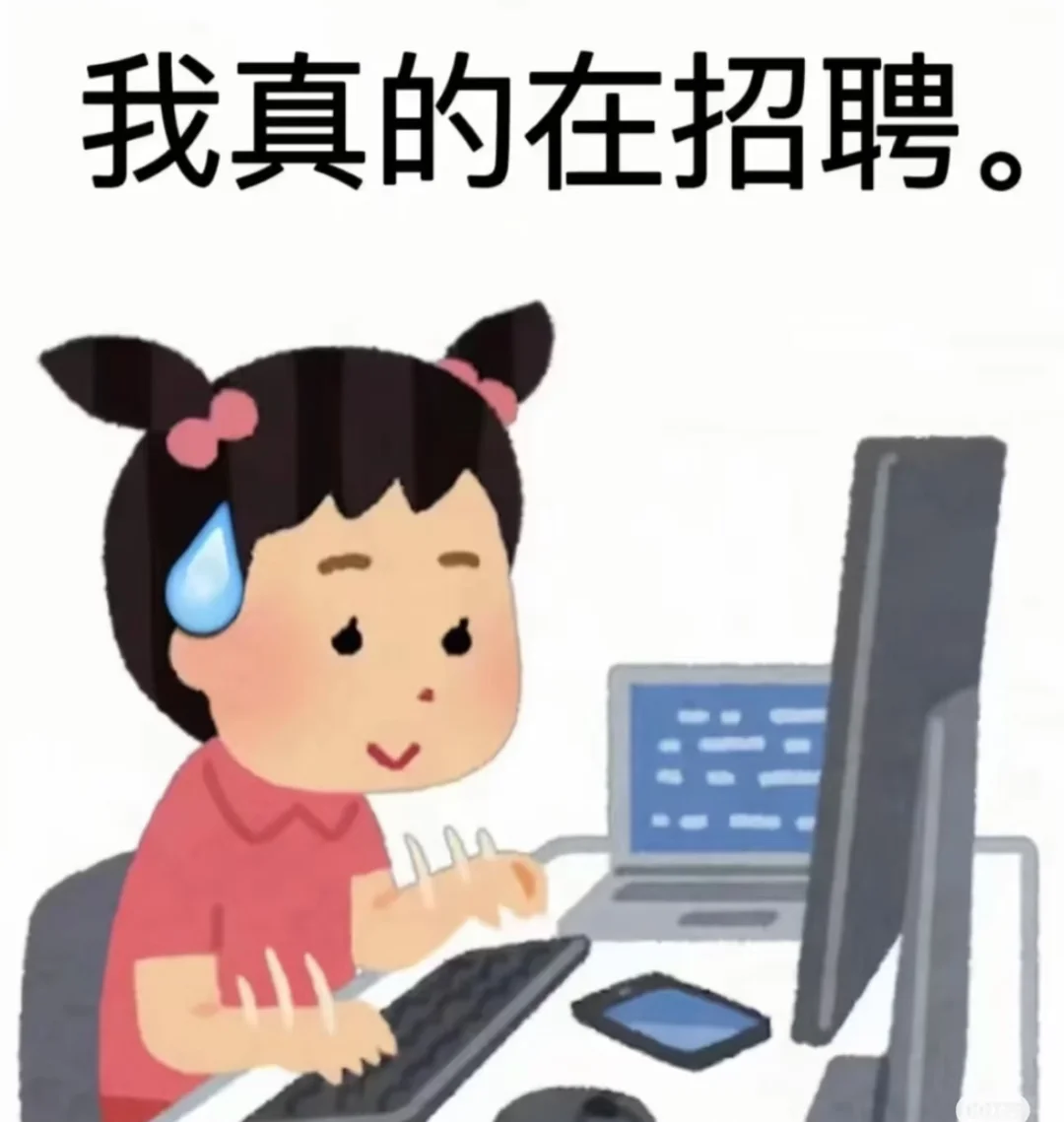 重生之在石家庄做招聘