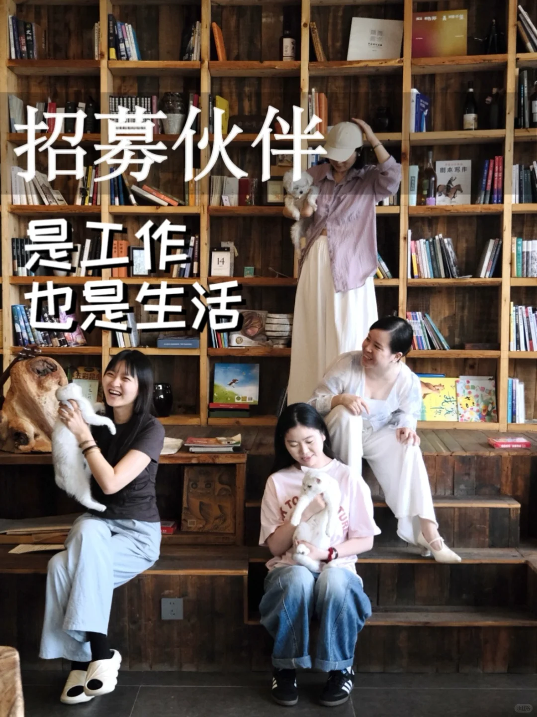 不隐招纳新伙伴｜是工作 也是生活