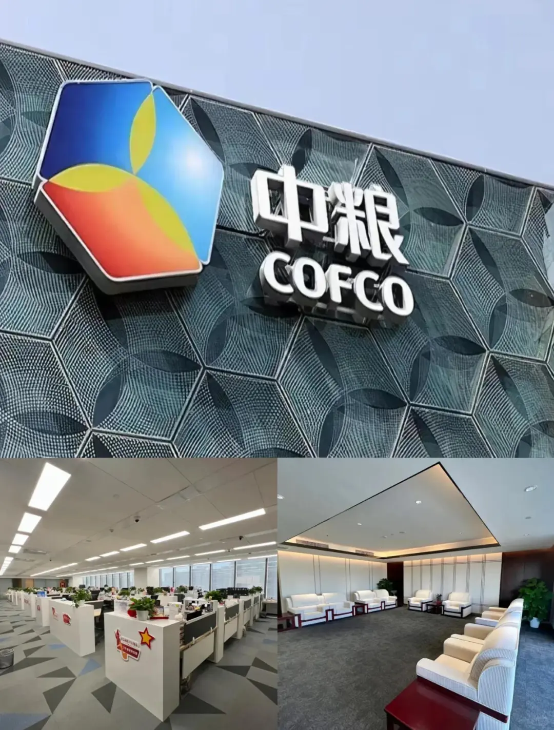 七月想来中粮集团的应届生，速投！