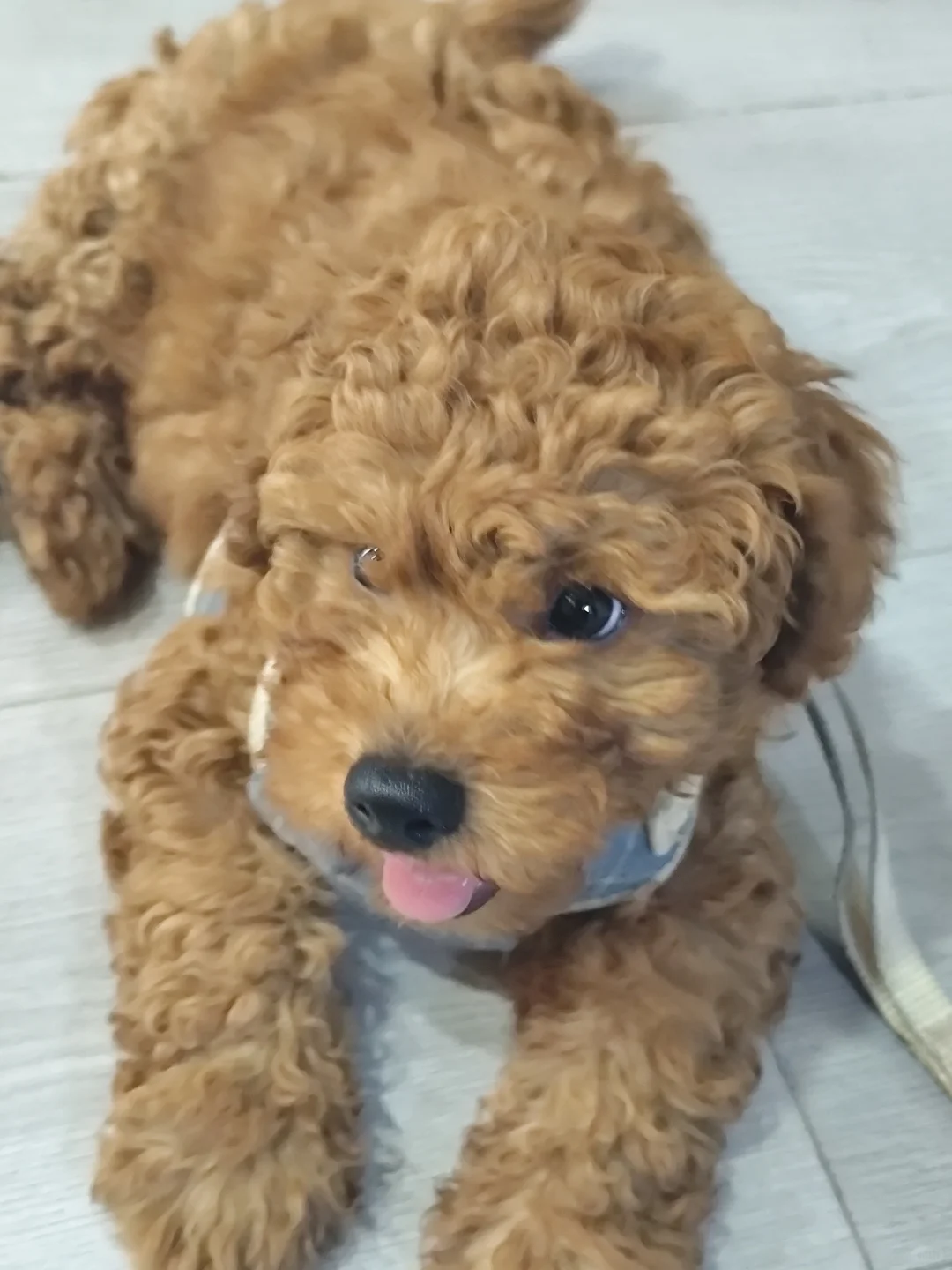 晋城找工作的看过来！！！