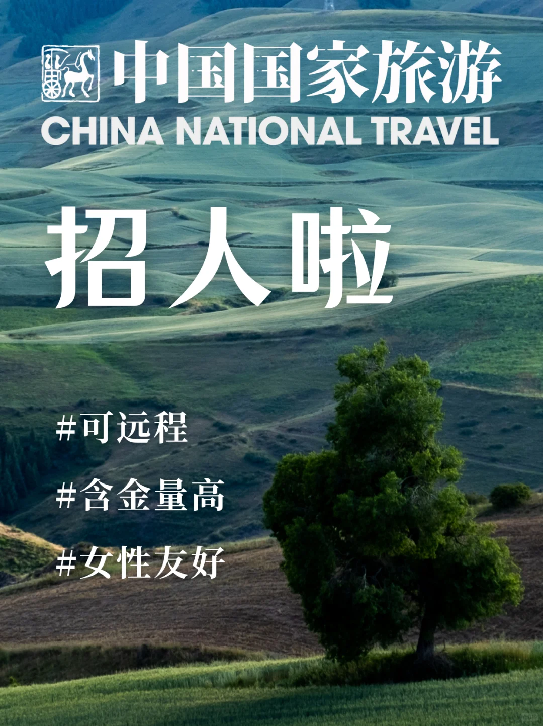 中国国家旅游招人啦🉑远程😍含金量高