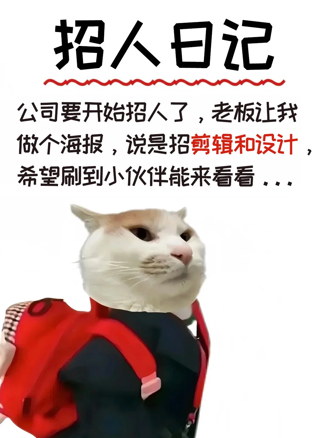 大声点！烟台高新区招人老板是个搞笑男