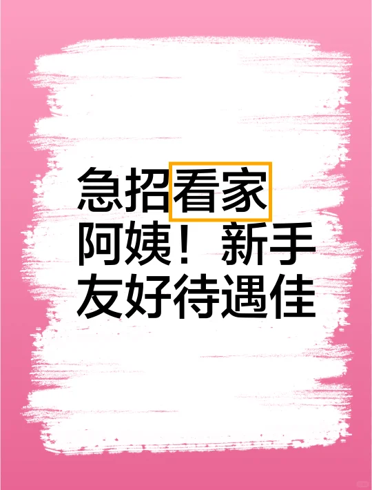 急招看家阿姨！新手友好待遇佳