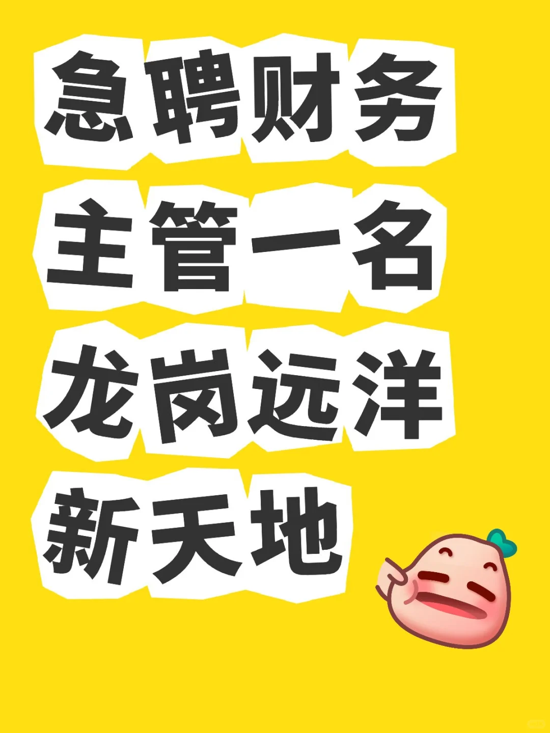 急聘财务主管三年以上工作经验