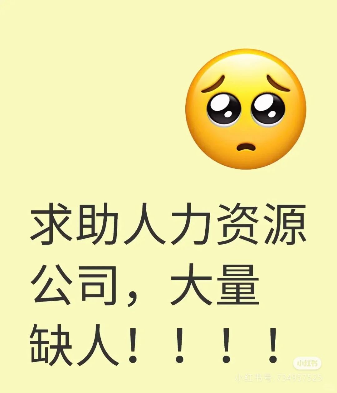 求助代招公司，目前大量缺人！！