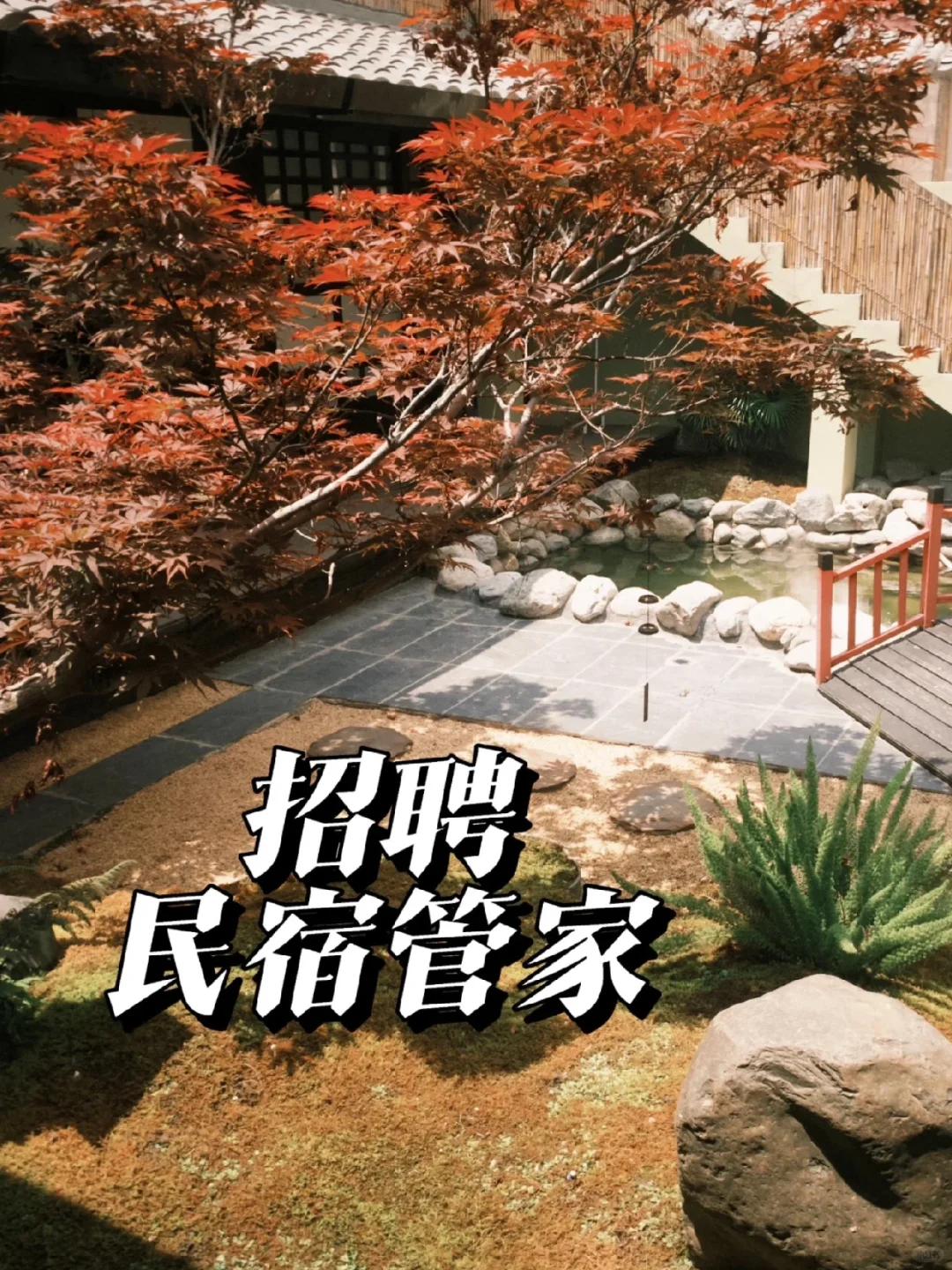 宅寂春山青野民宿招聘管家啦🥳🥳
