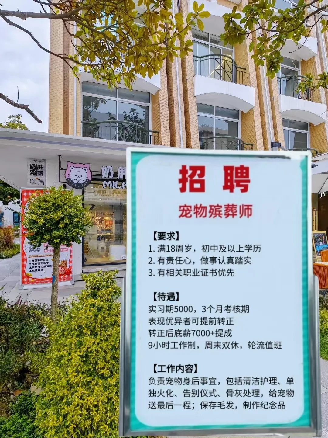 才发现‼️好的工作并不都在网上流通