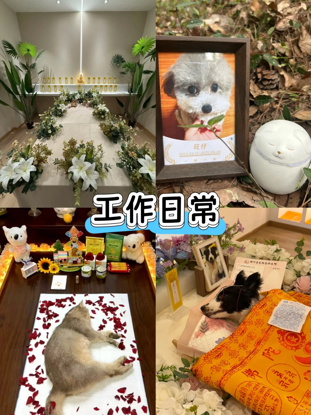 才发现‼️好的工作并不都在网上流通