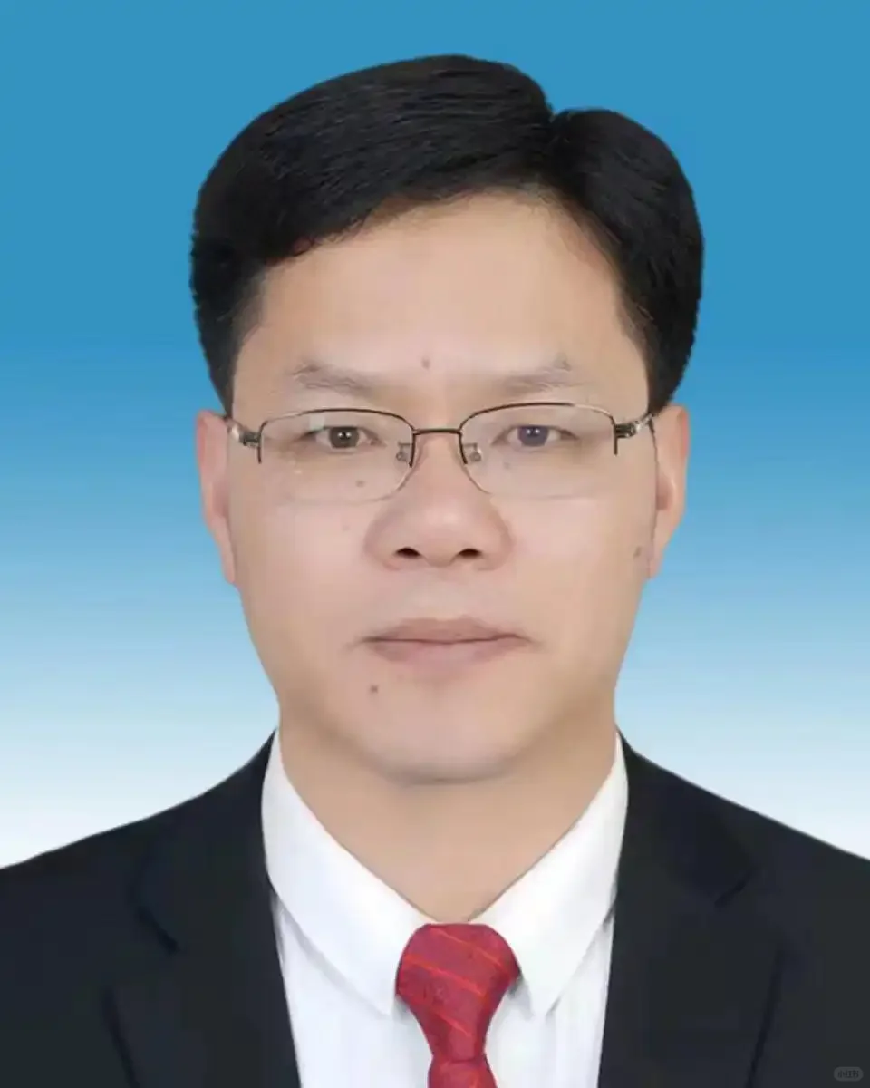 80后县长主动投案