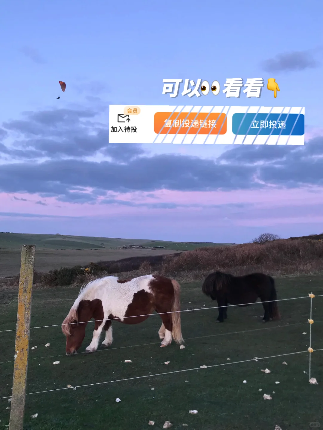 更偏爱艺术生的——设计外企