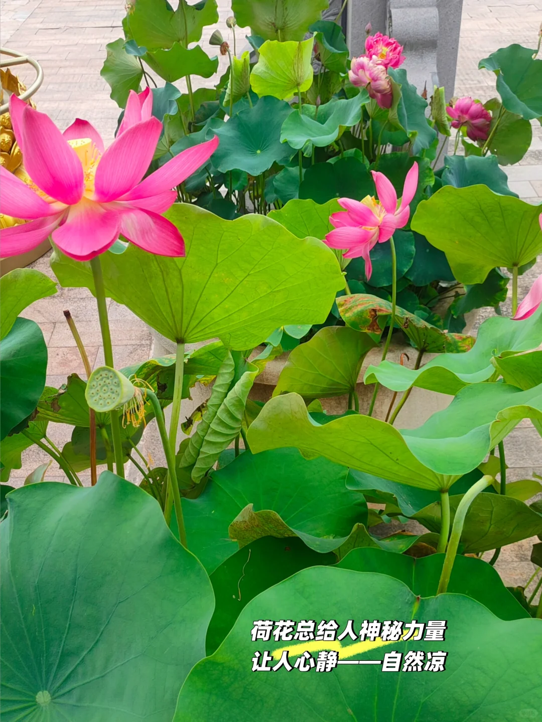 面试总紧张？教你一个比嚼口香糖管用的方法