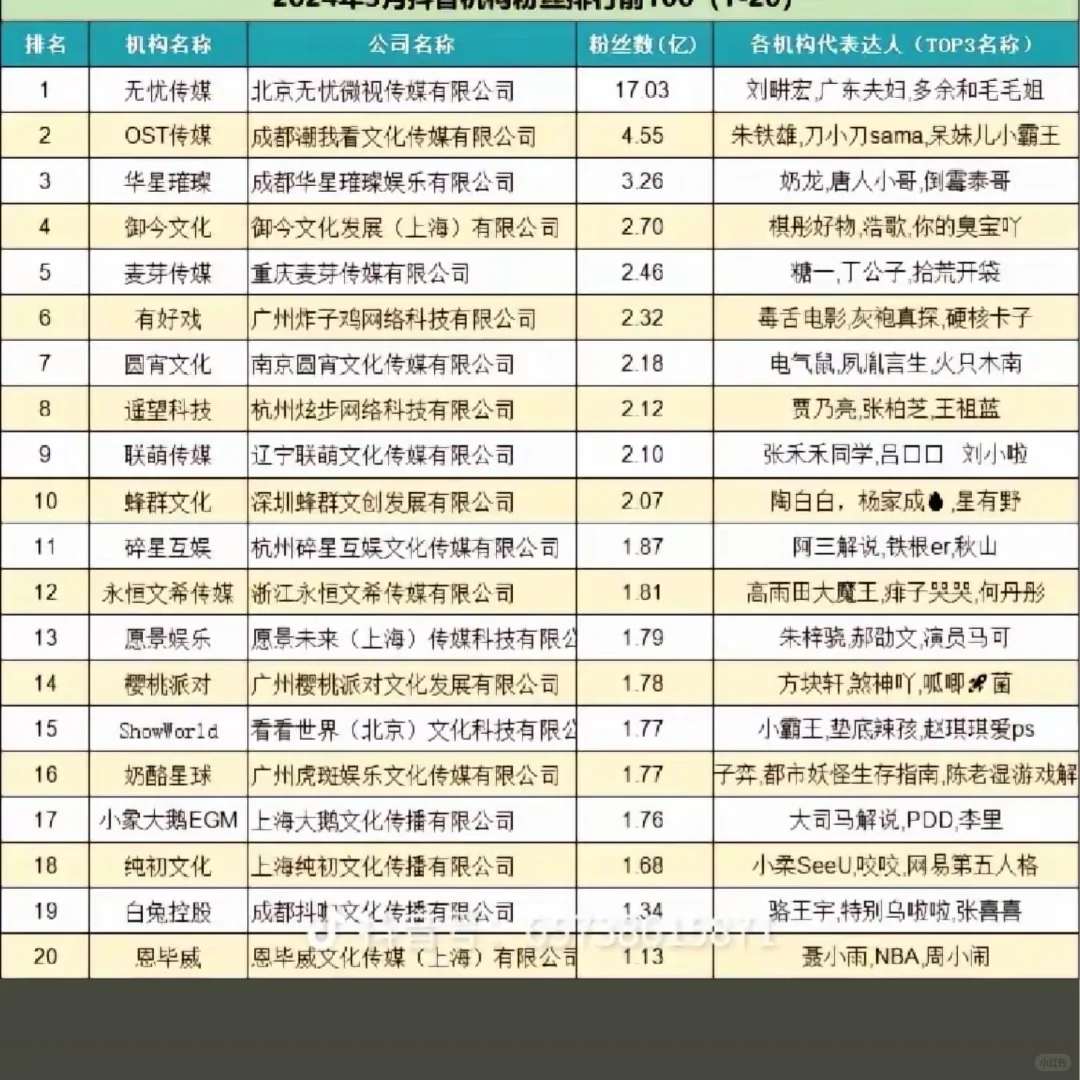 比较成型的公司