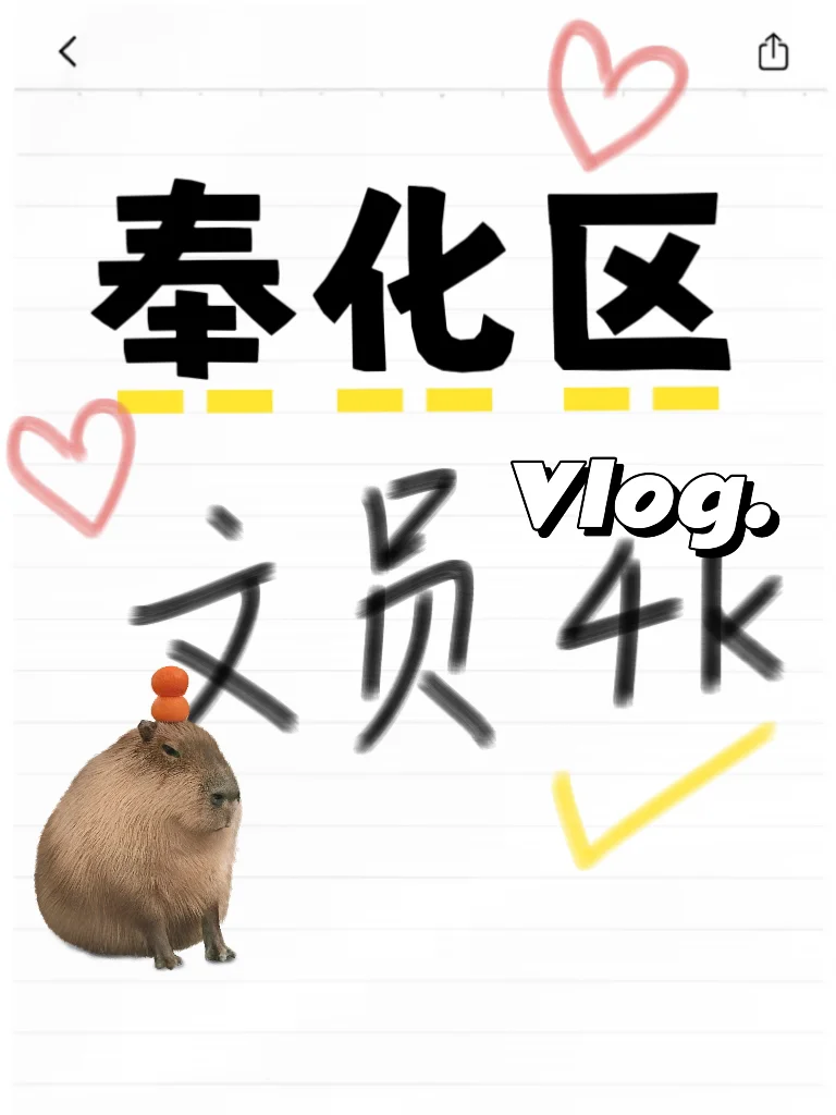 想躺平有什么错！！！