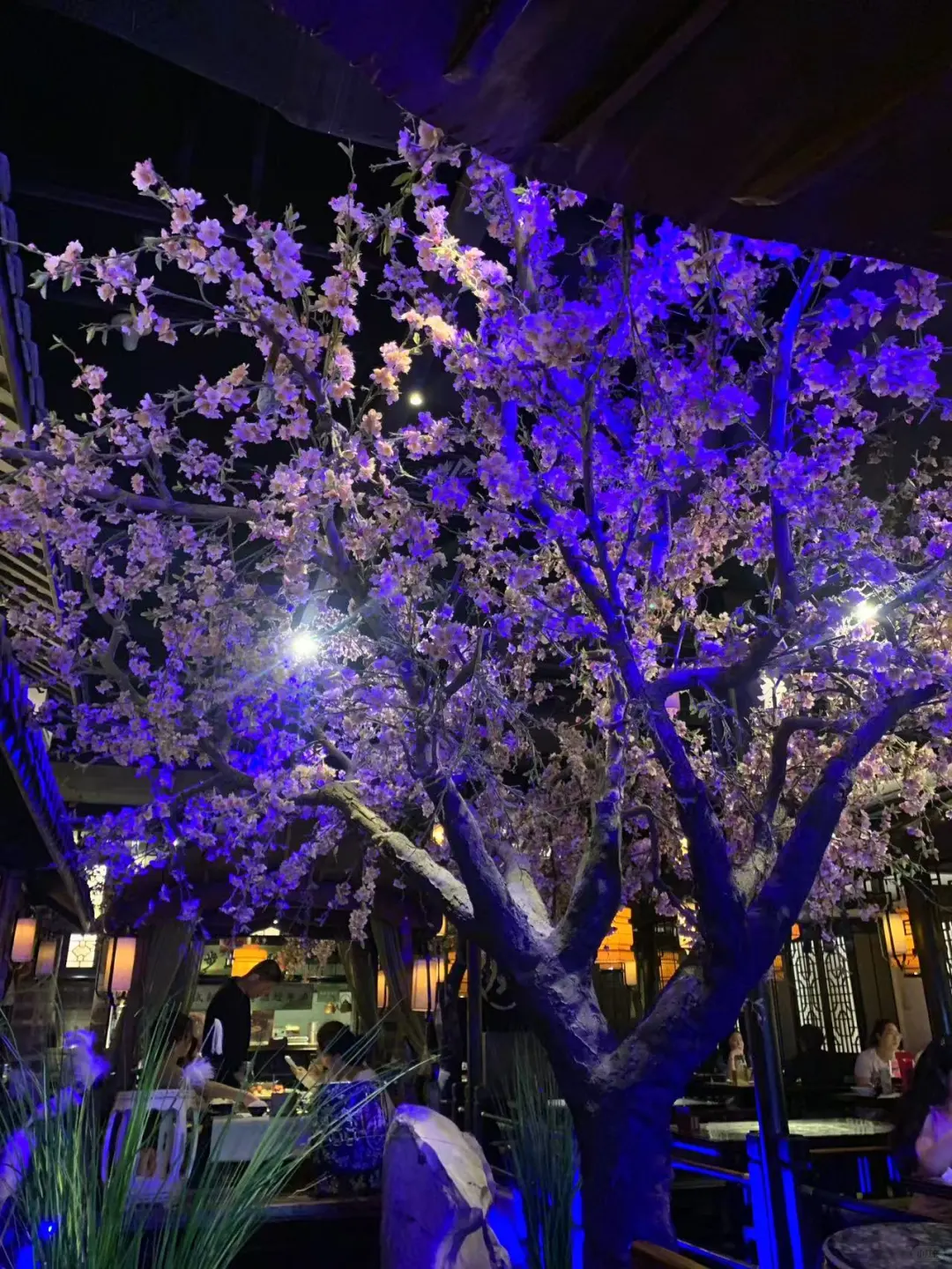 石家庄新华区，快来