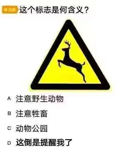 公开招聘辅助