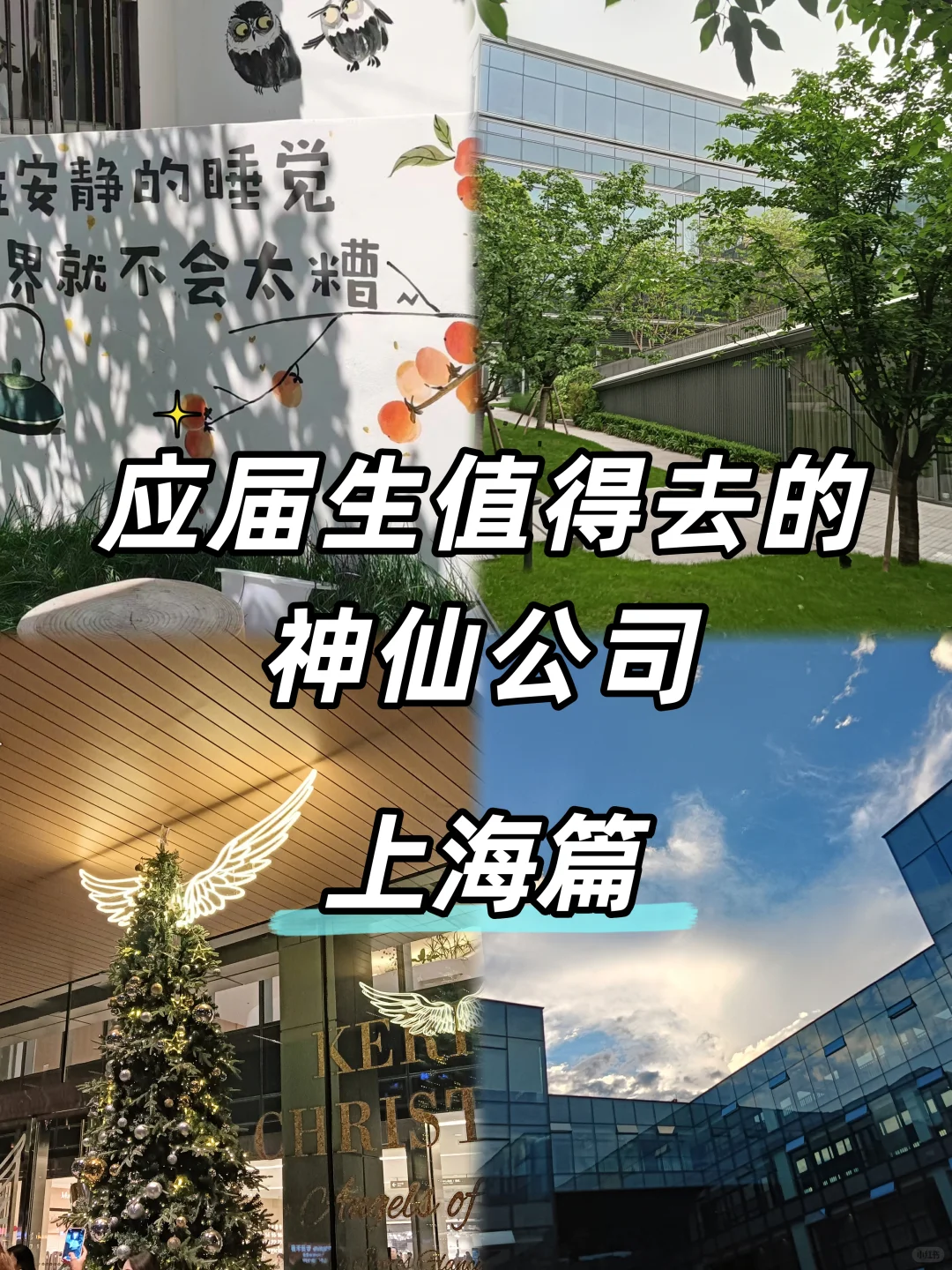 上海的神仙大厂也太多了！福利还这么好🥹