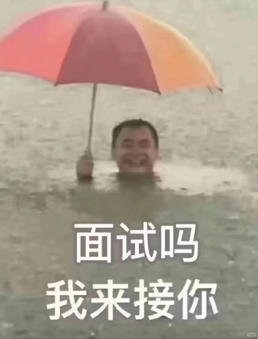 🔥招新｜快来做我们的“新”上人~
