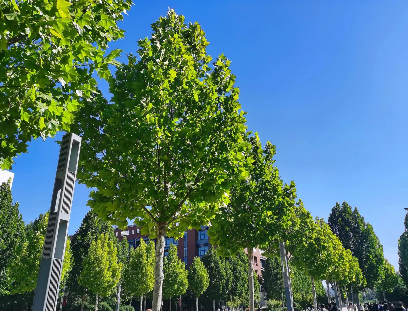 选择齐鲁工业大学的八大理由