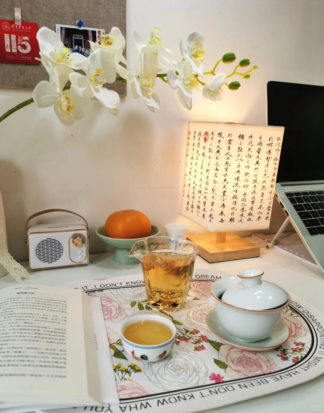 人才引进上岸