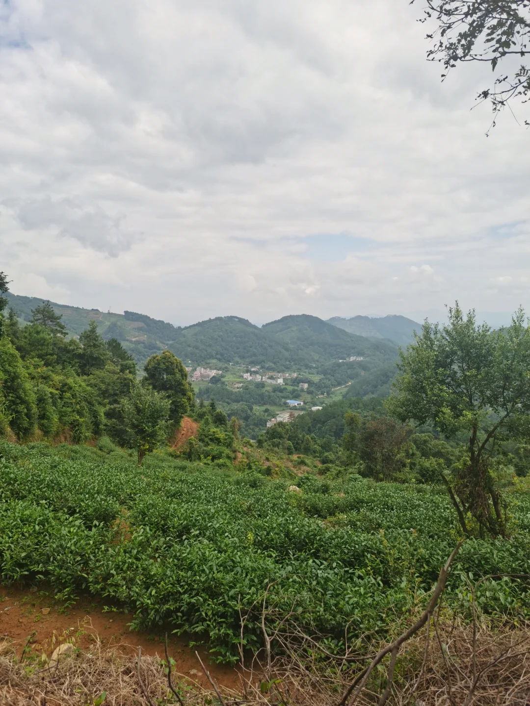 人才引进上岸