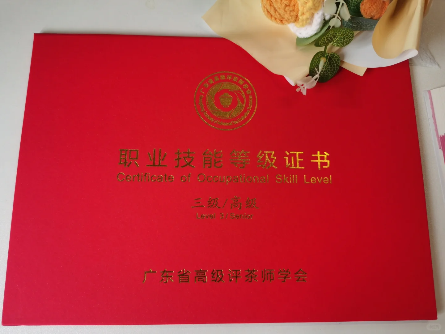 人才引进上岸