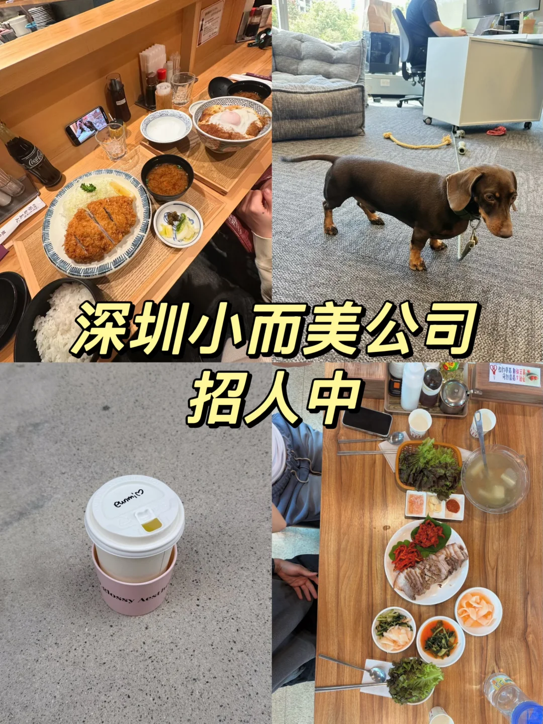 深圳小而美公司