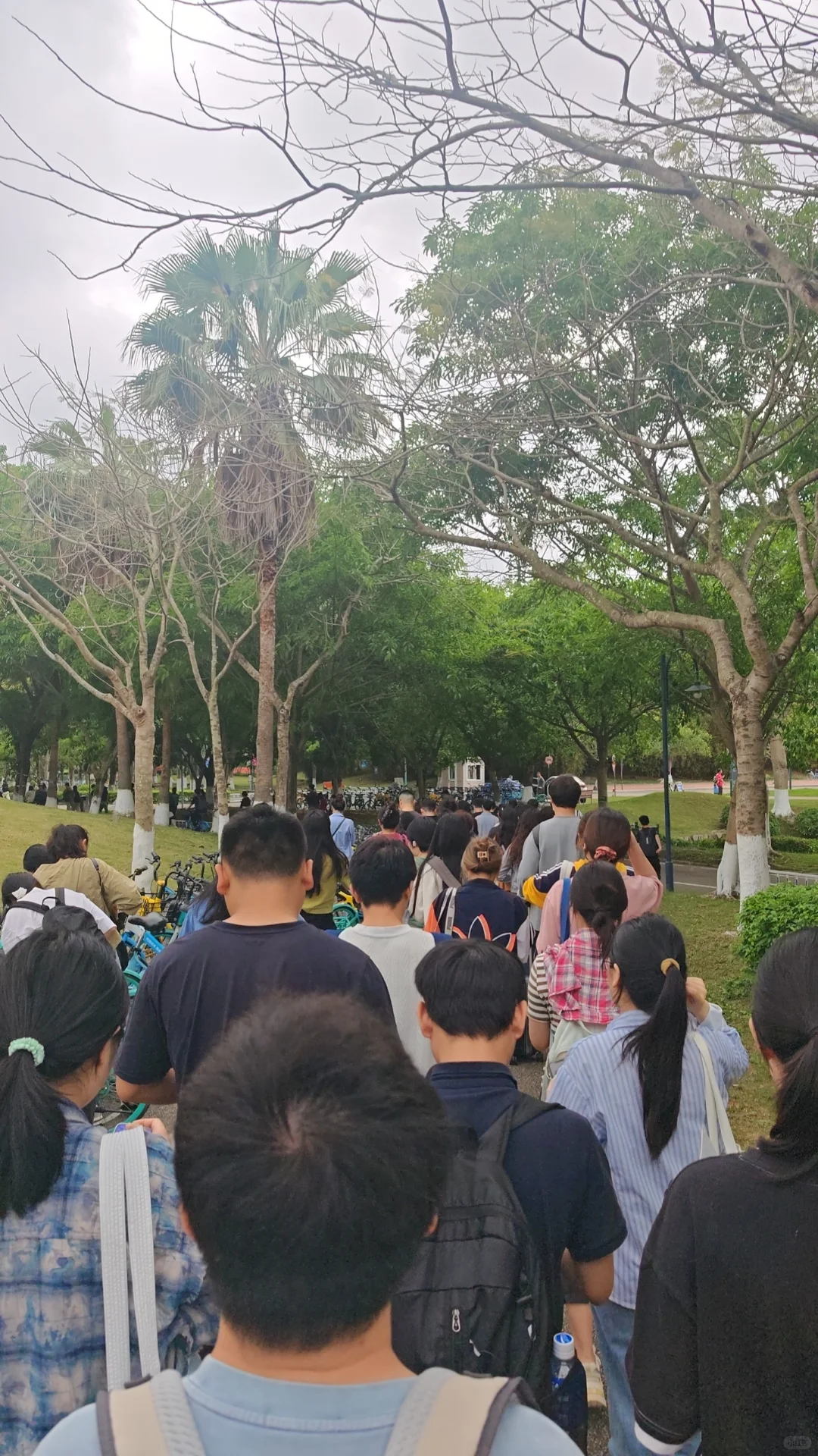 省直属单位合同制聘员考试