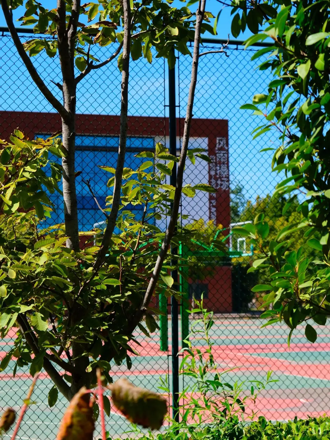选择齐鲁工业大学的八大理由