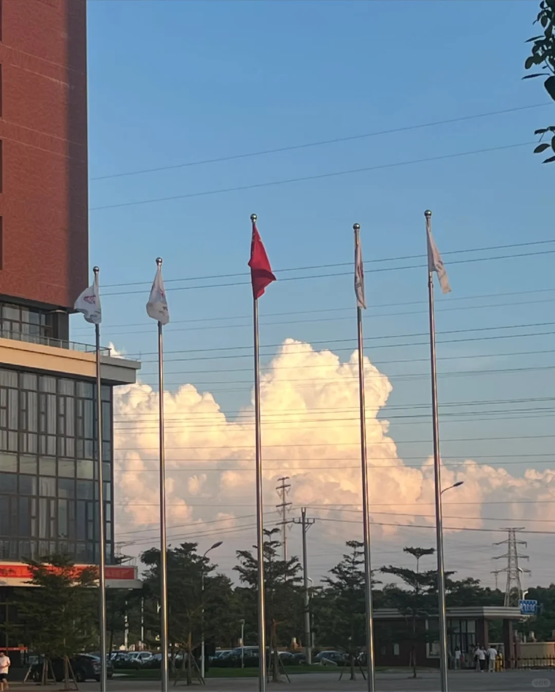⭐广州华商学院会计学院申请出战‼️
