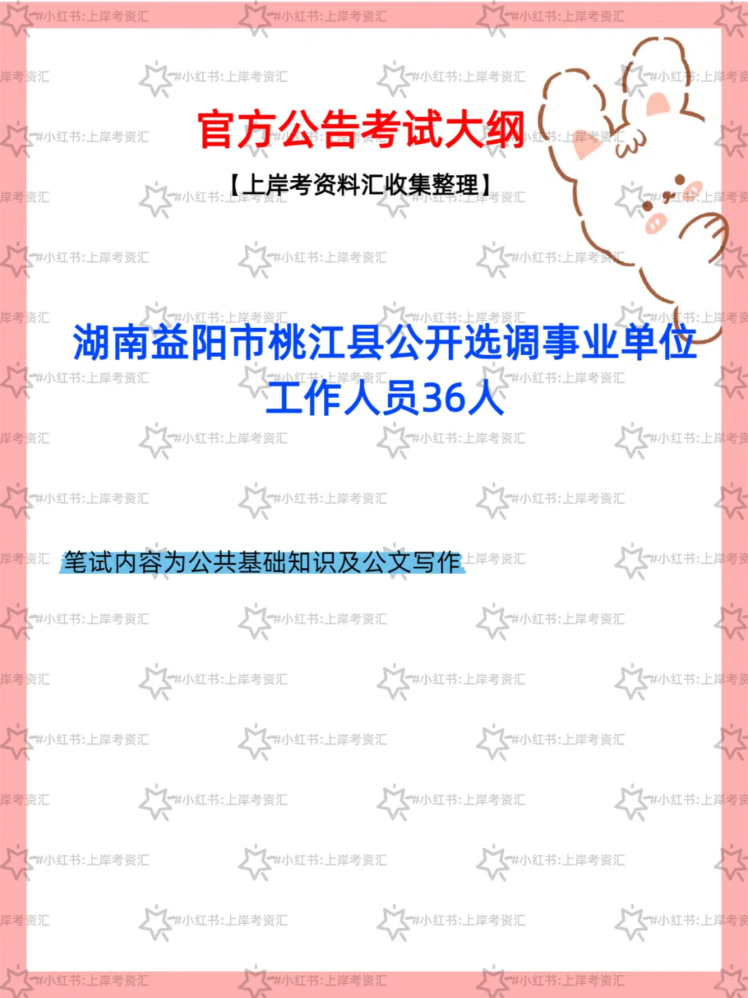 桃江县 2025 年选调事业单位人员公告