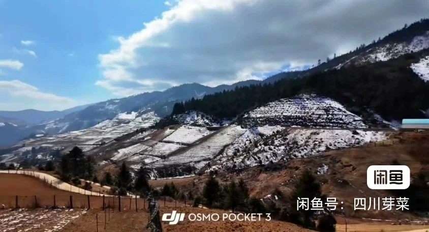 超有耐心的租聘