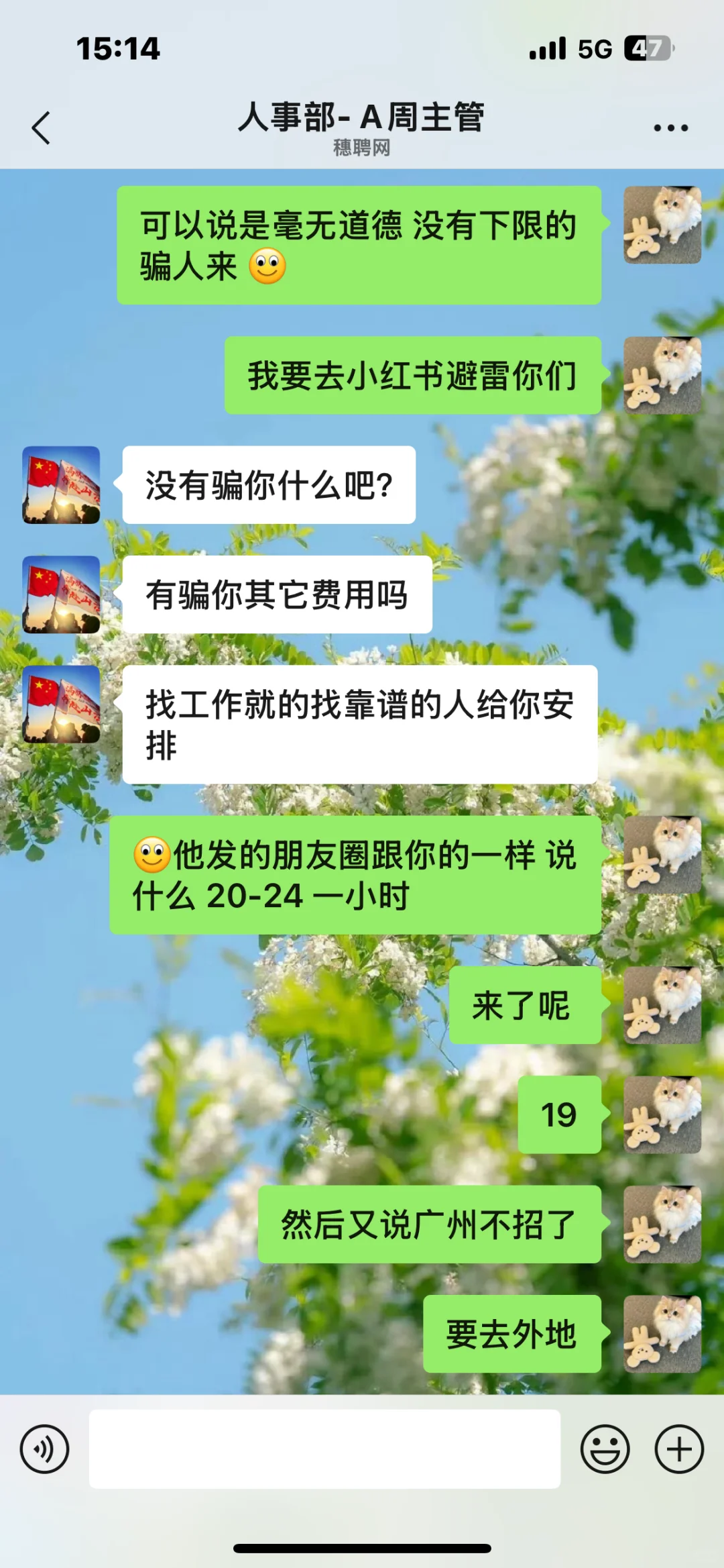 避雷穗聘网